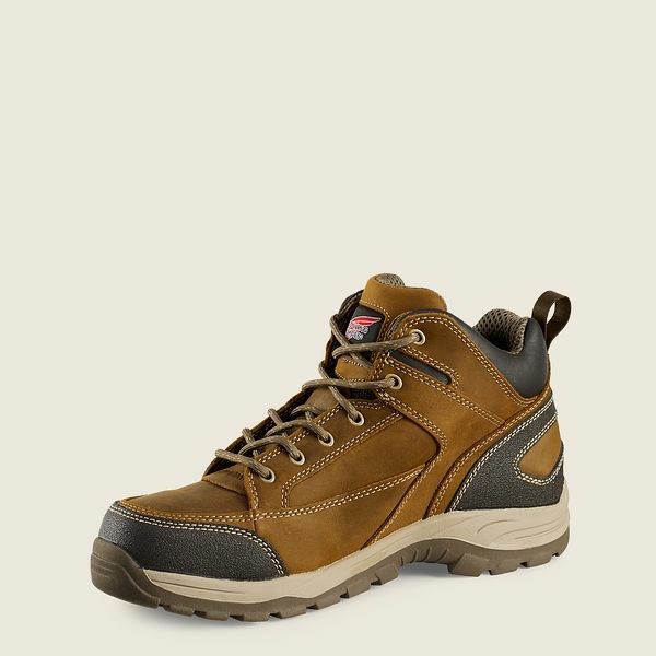 Men's Red Wing TruHiker 5-inch Hiking Boots Brown | TNI-658041