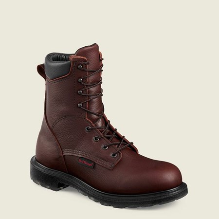 Men's Red Wing SuperSole 2.0 8-inch Safety Toe Boots Brown | CYT-756984